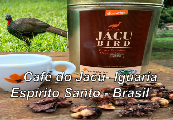 #Café do #Jacu  #Coffee – Domingos Martins- Espirito Santo #cafe #cafearabica #cafeespecial #coffee